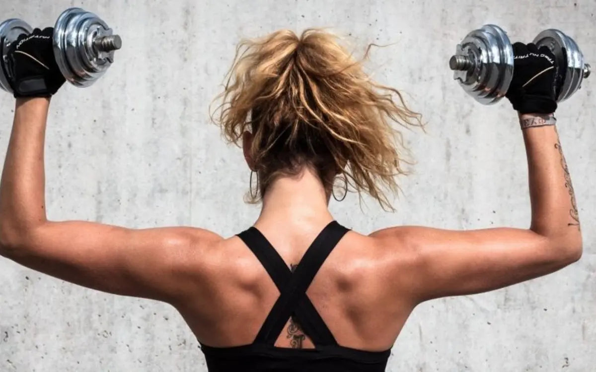 Musculation